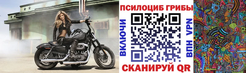 Галлюциногенные грибы прущие грибы  купить наркотик  Инза 